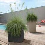 CANTO Stone 30 low graphite black_3