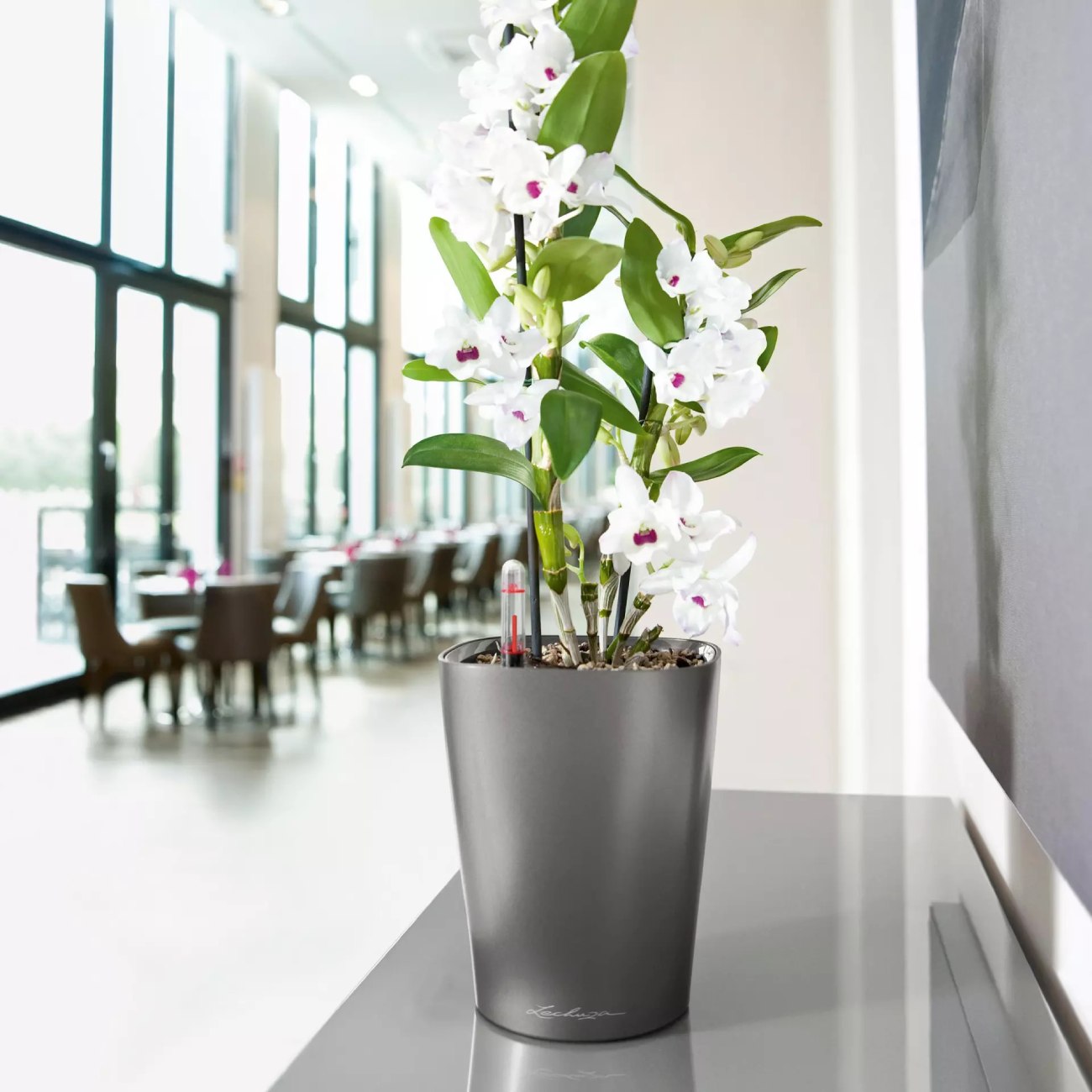 Lechuza Deltini charcoal metallic