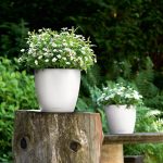 CLASSICO Color 28 slate_4