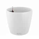 CLASSICO Color Round