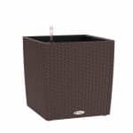 CUBE Cottage Square_1