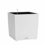 CUBE Cottage Square_2