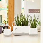 pistachio semi-gloss (3)