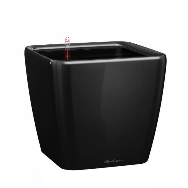 Buy QUADRO LS 35 Black High Gloss, Self-Watering Square Planter, H13 ...
