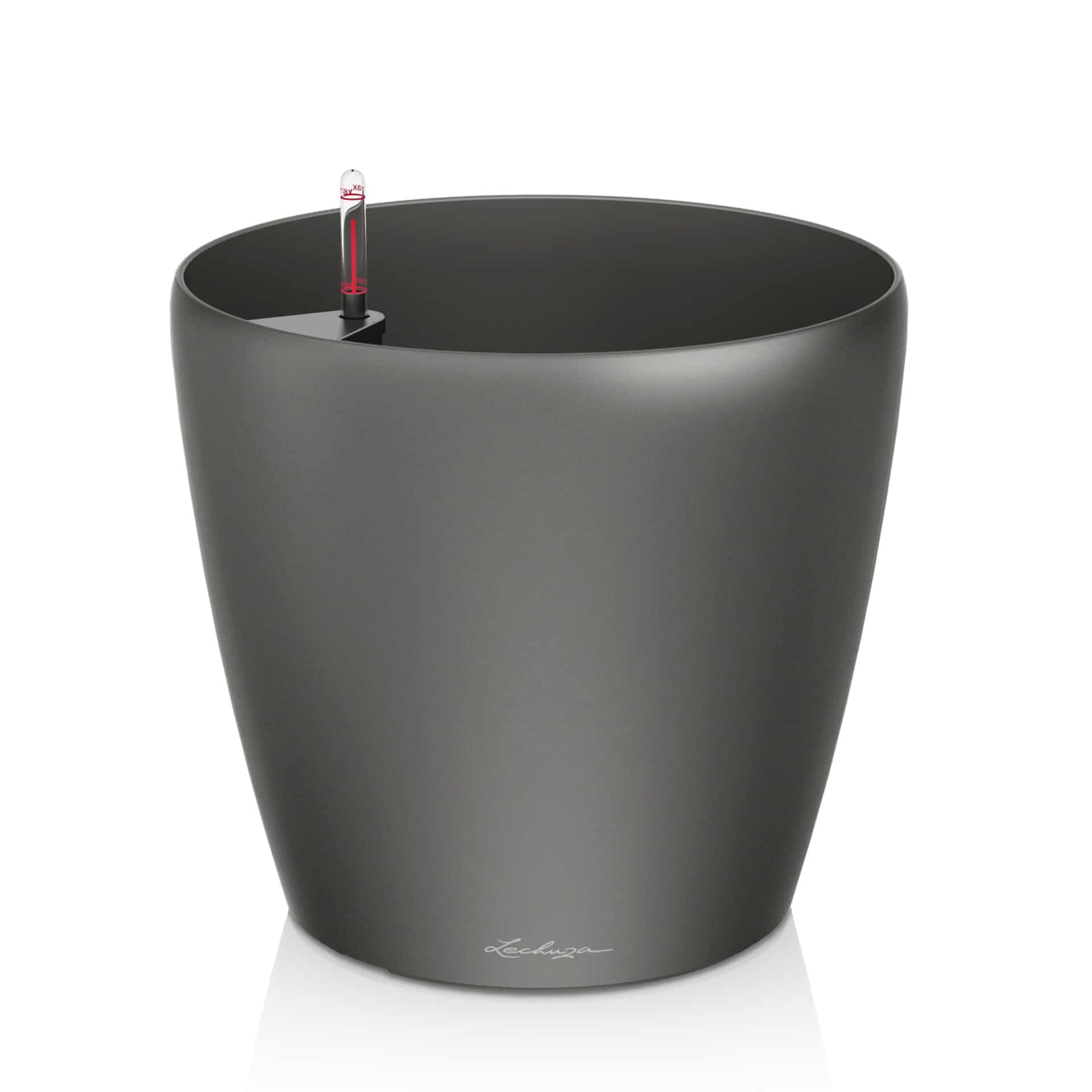 レクサス　 ヒメイワダレソウ　１２０鉢　７.５cm Buy CLASSICO Premium 70 Charcoal Metallic, Self-Watering Large