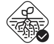 icon_structurally_stable