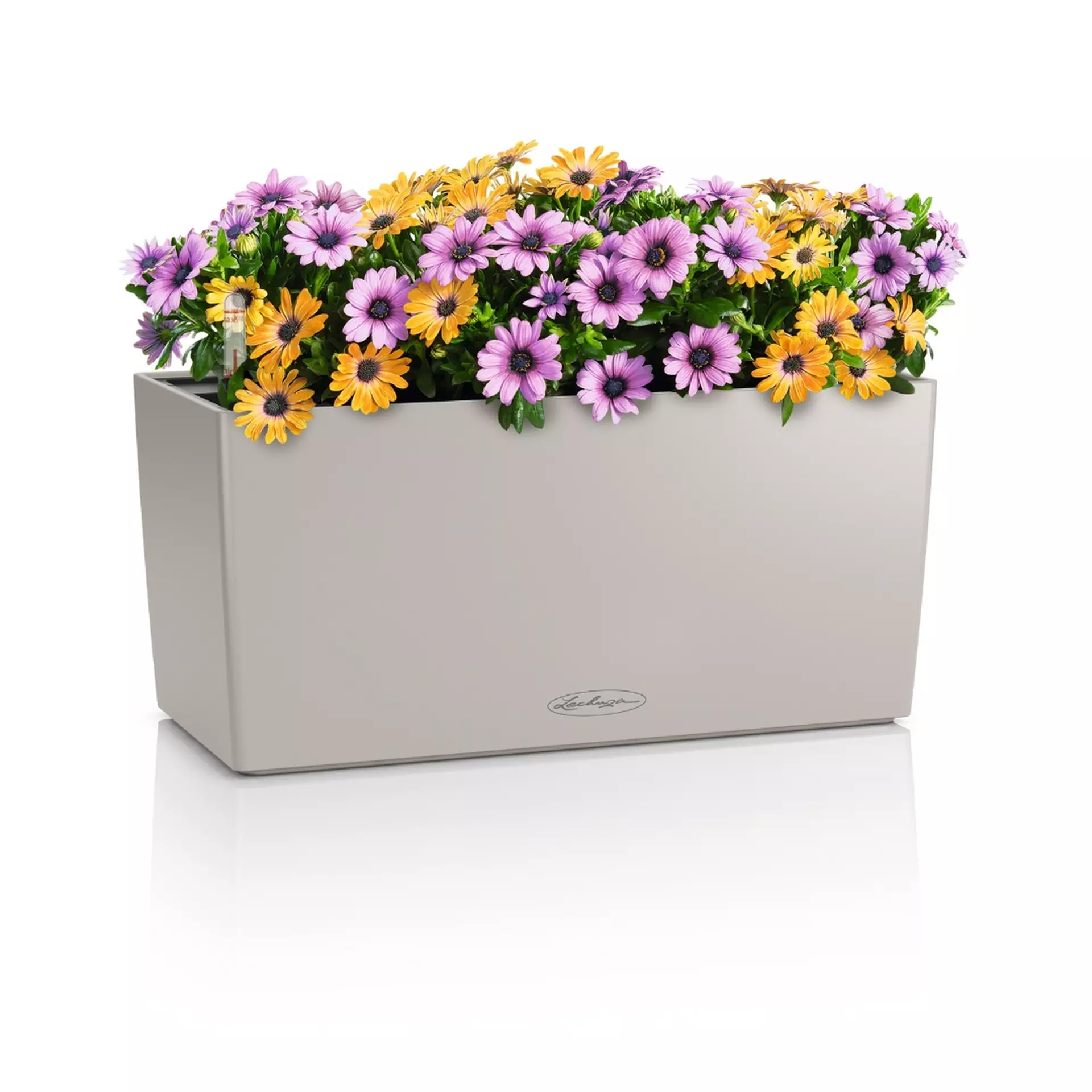 BALCONERA Color 40 sand brown