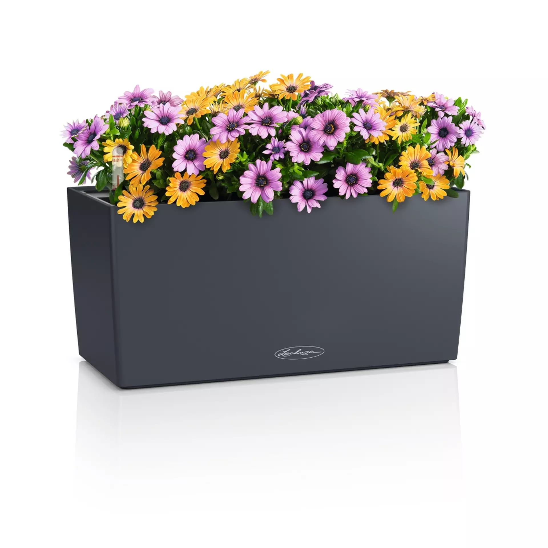 BALCONERA Color 40 slate grey