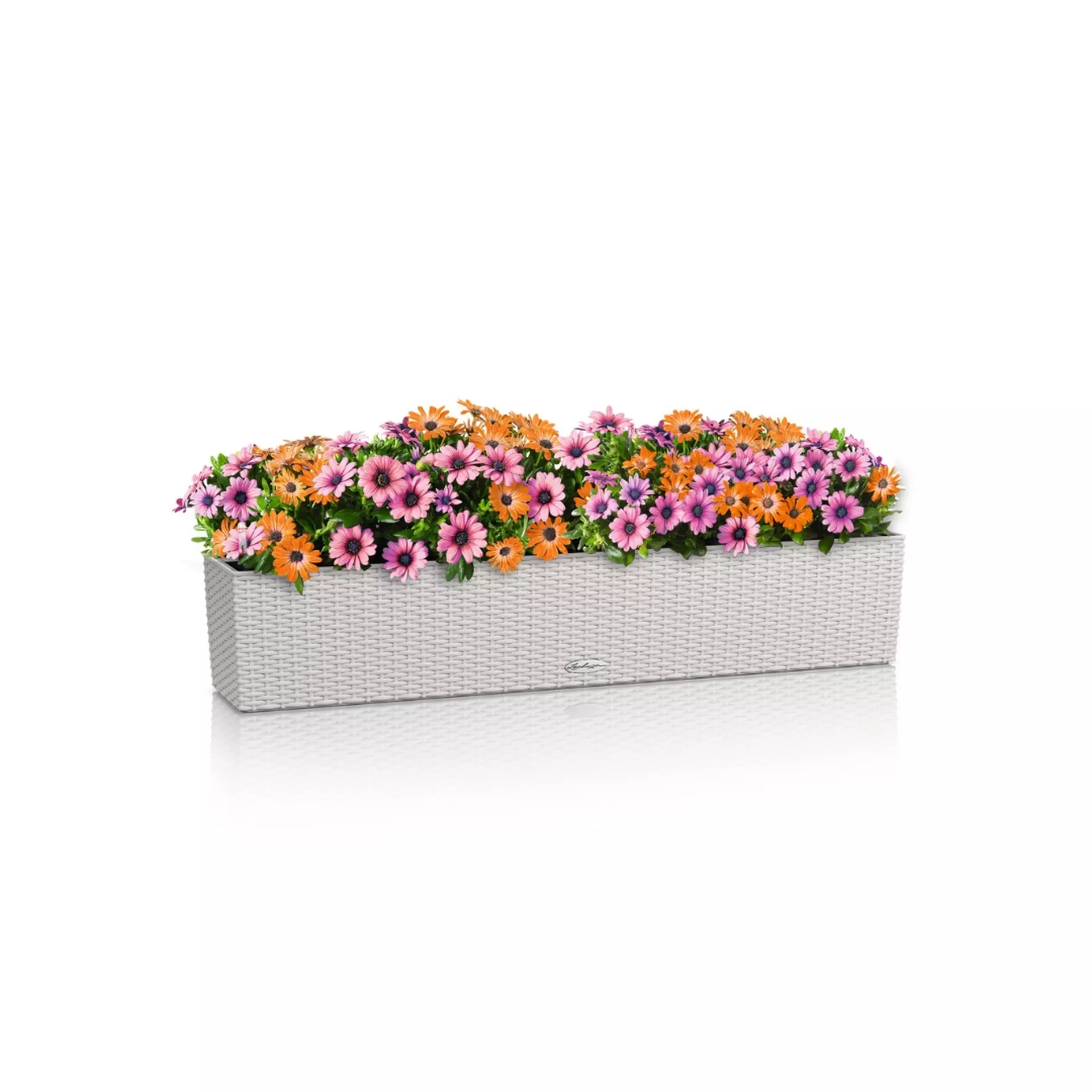 BALCONERA Cottage 100 light grey