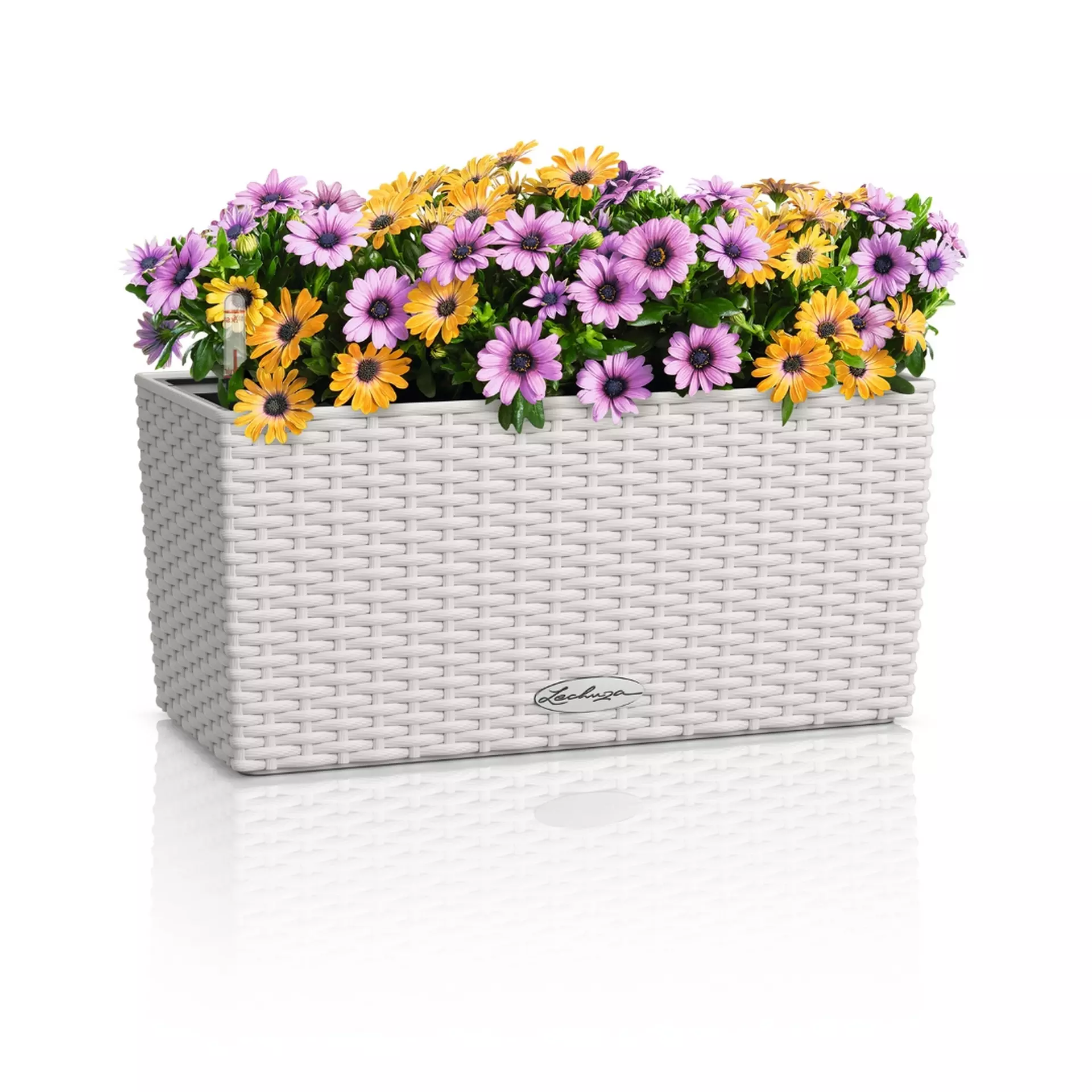 BALCONERA Cottage 40 light grey