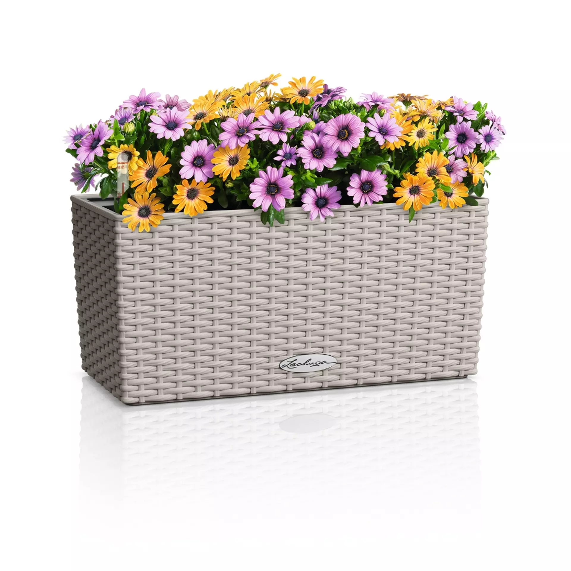 BALCONERA Cottage 40 sand brown