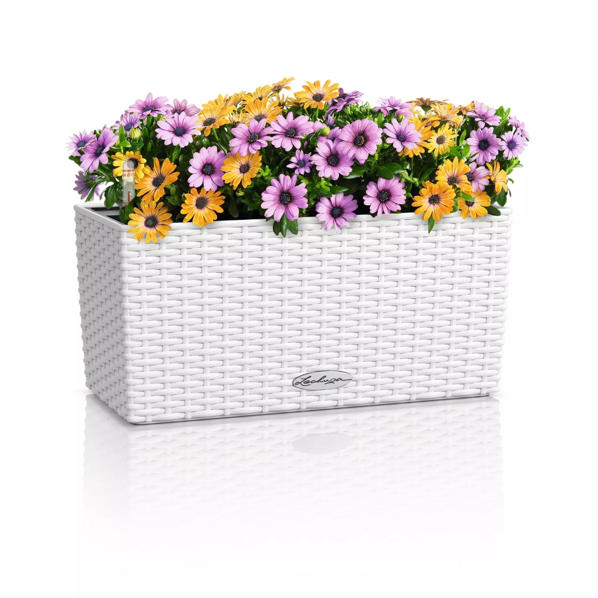 BALCONERA Cottage 40 white