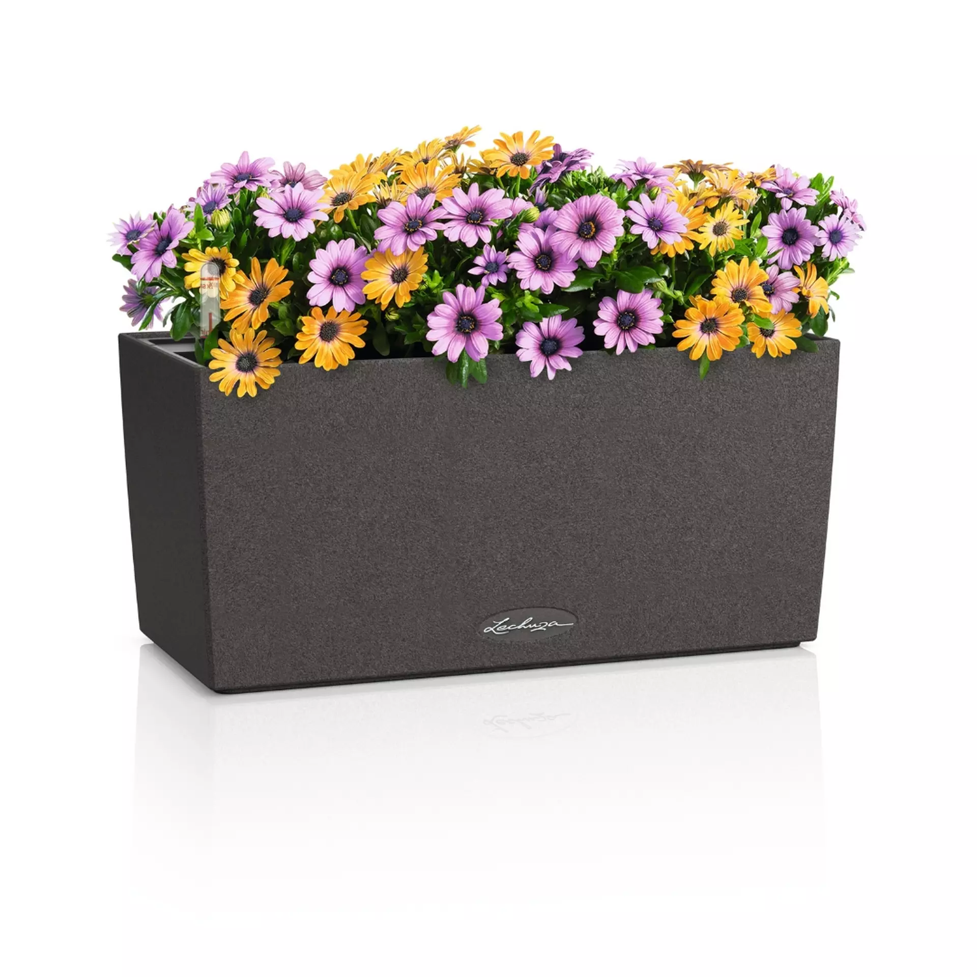 BALCONERA Stone 40 graphite black