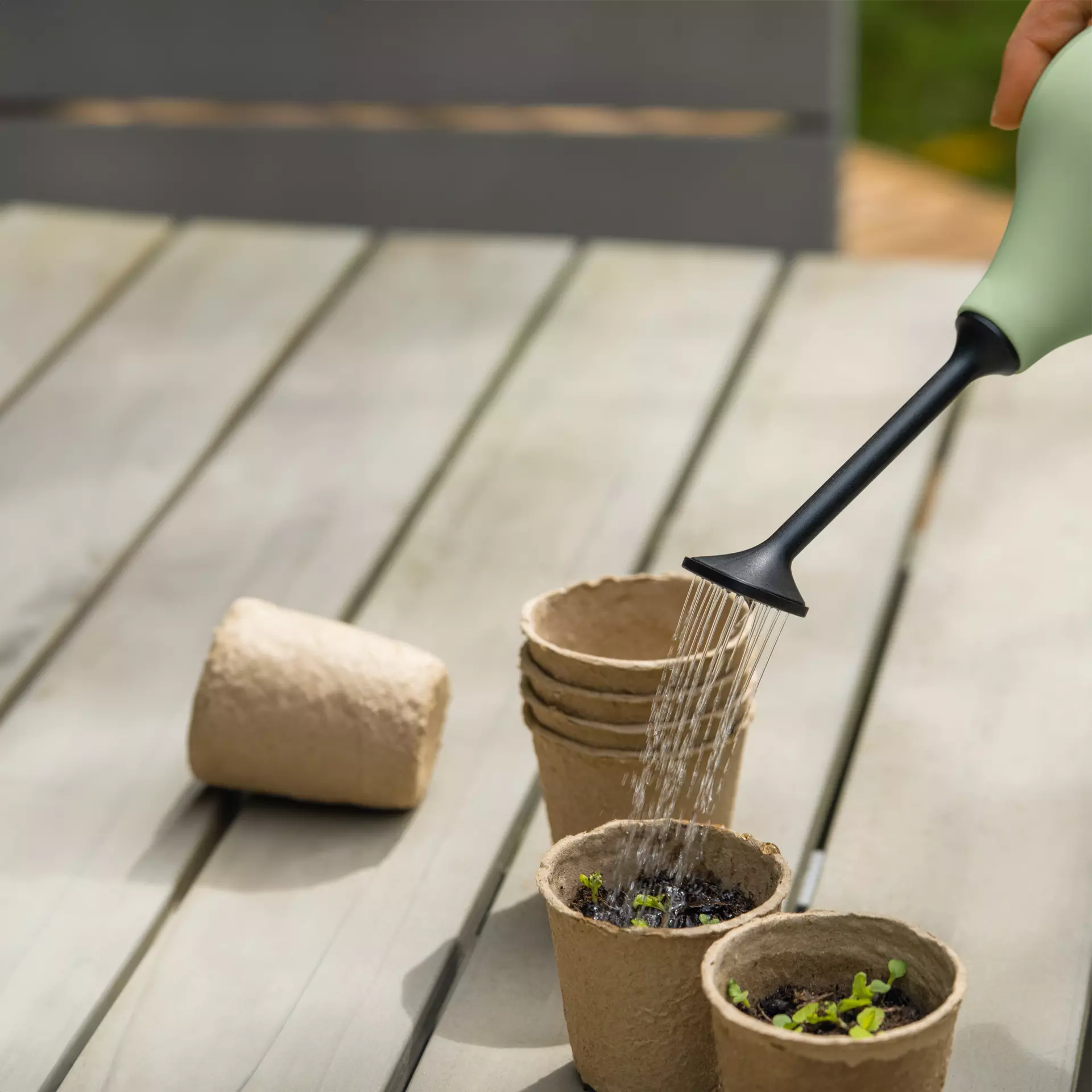 Flower Shower salbeigrün (4)