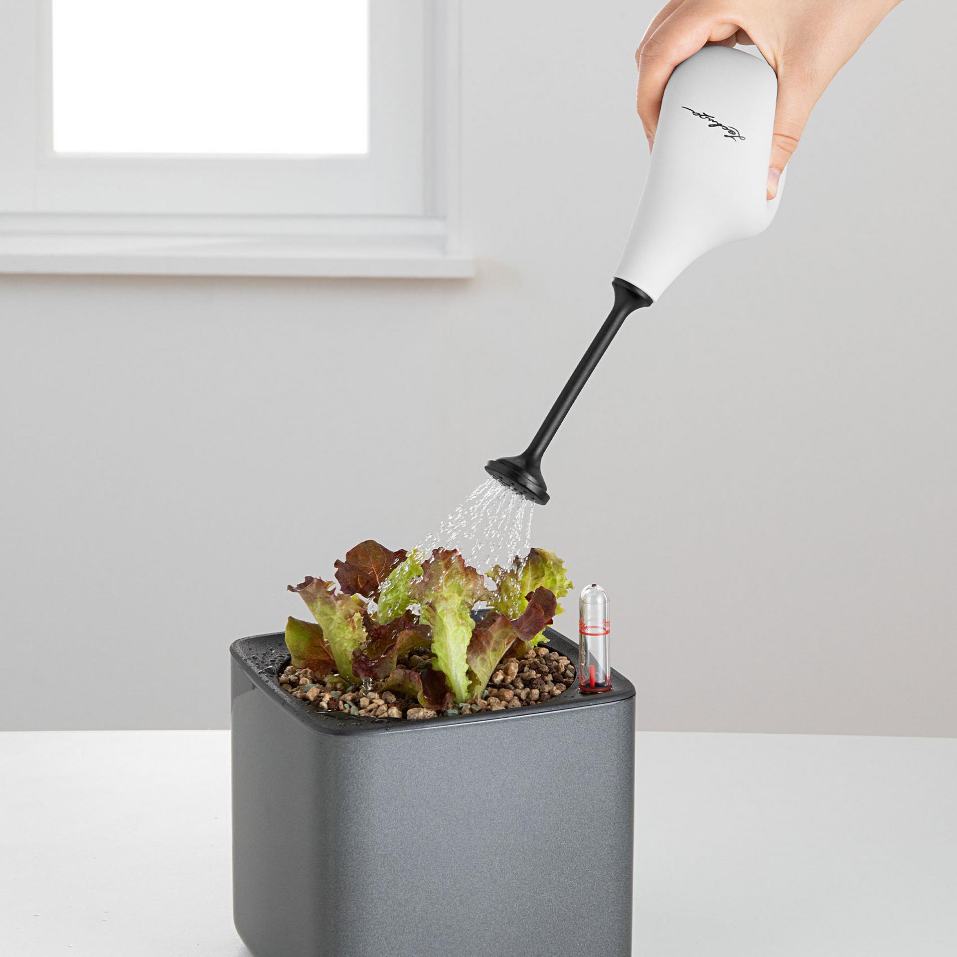 Flowershower hellgrau(1)