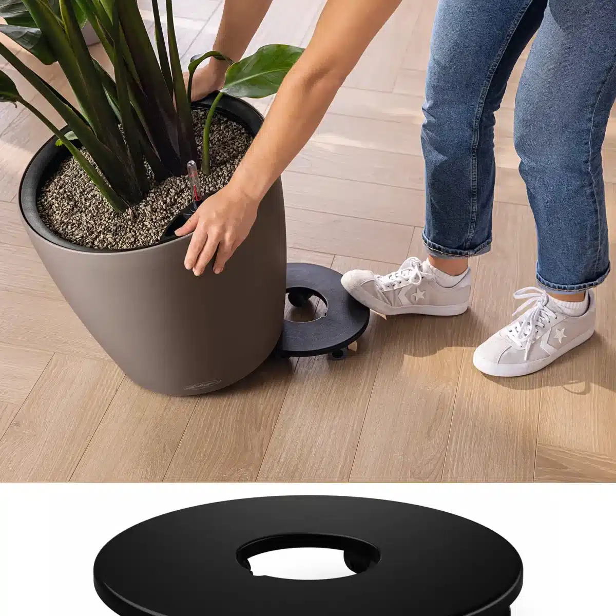 CLASSICO Color LS 21 Slate, Self-Watering Round Planter, D8.7 H7.9 in - Image 9
