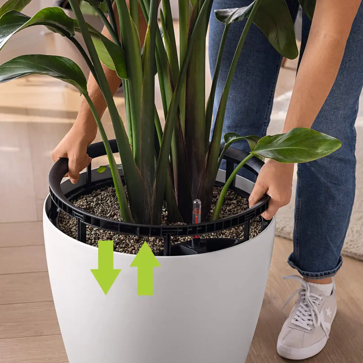 CLASSICO Color LS 21 Slate, Self-Watering Round Planter, D8.7 H7.9 in - Image 7