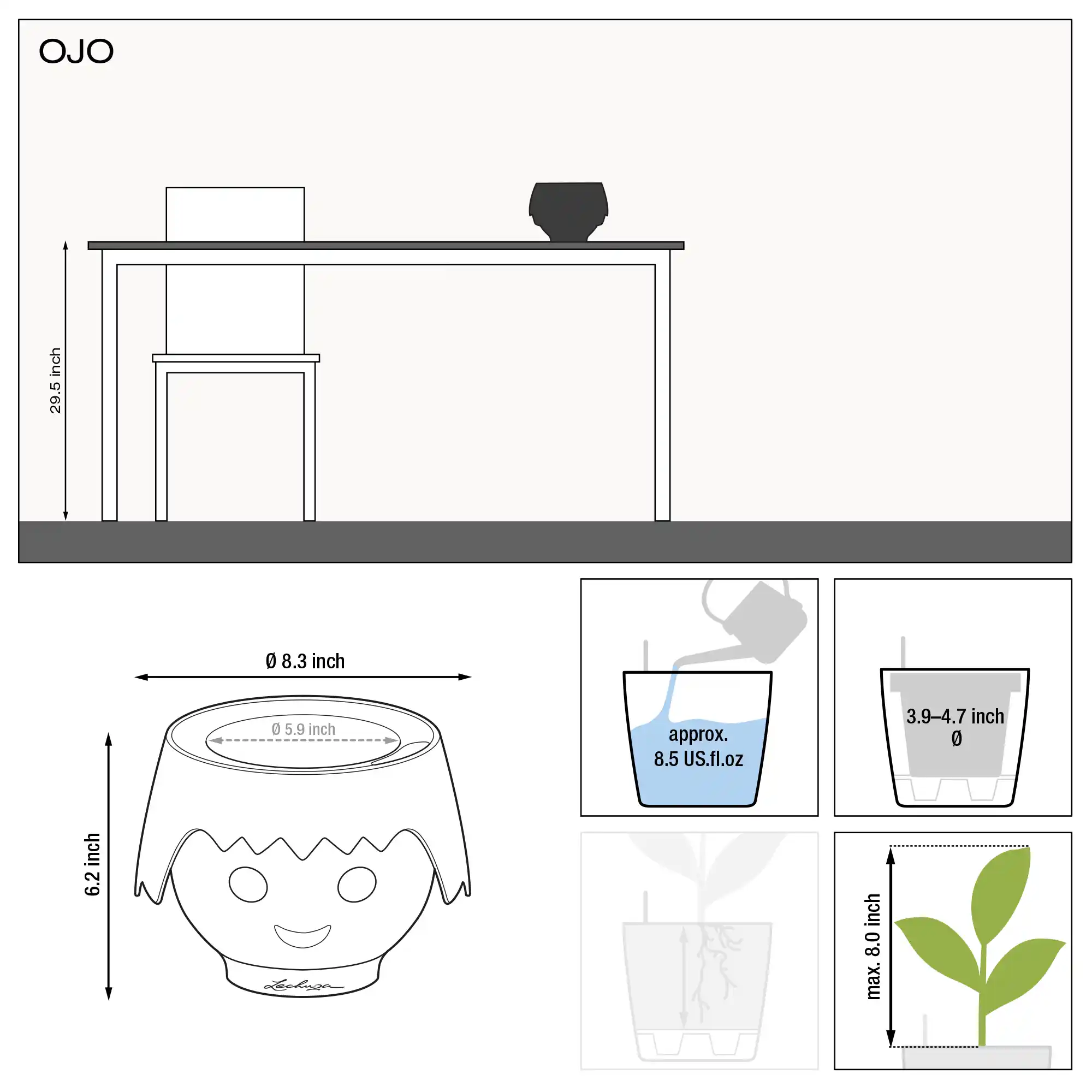 le_ojo_product_addi_nz_us
