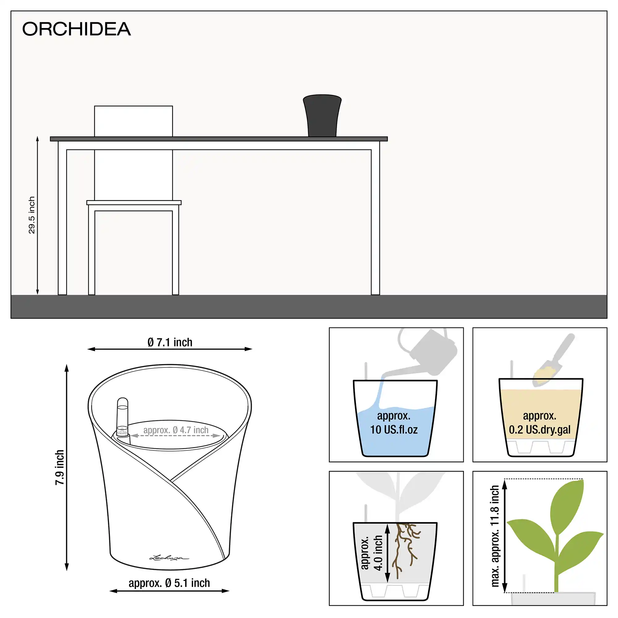 le_orchidea_product_addi_nz_us