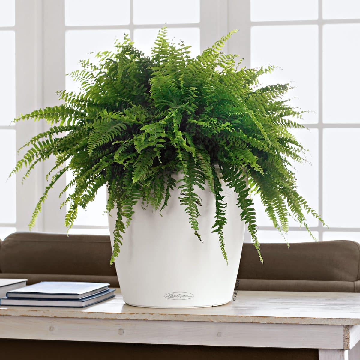 CLASSICO Color 35 White, Self-Watering Round Planter, D13.8 H11.8 in