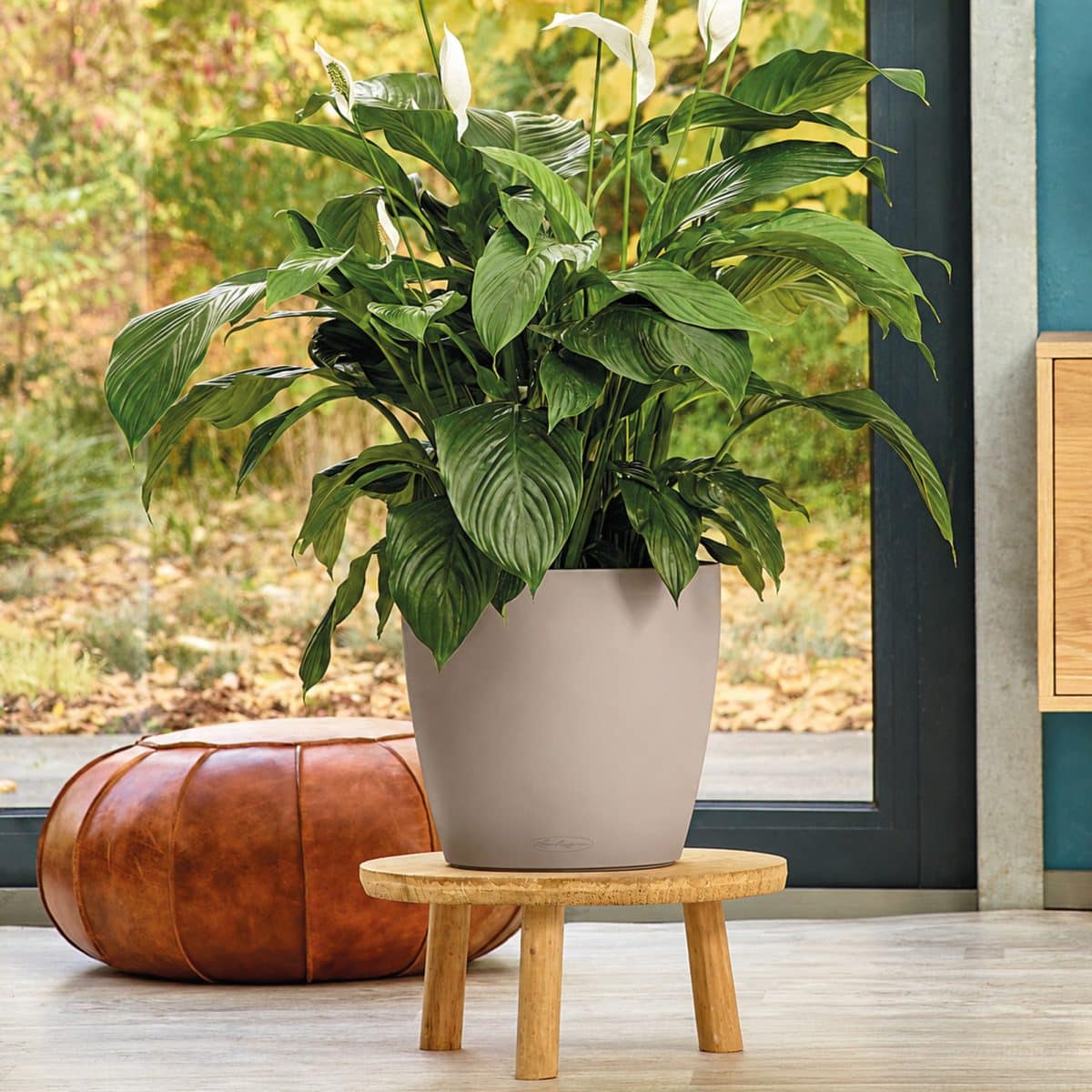 CLASSICO Color 35 Sand Brown, Self-Watering Round Planter, D13.8 H11.8 in