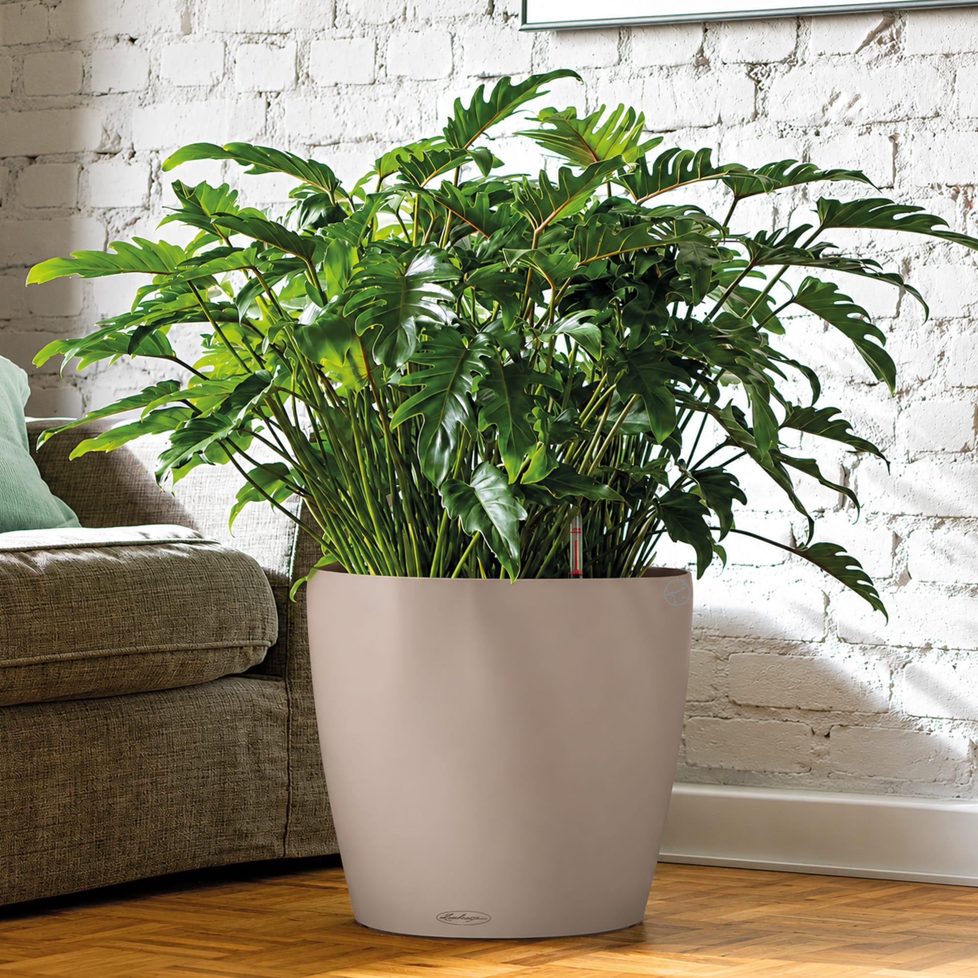 Buy CLASSICO Color 43 Sand Brown, Self-Watering Round Planter, D16