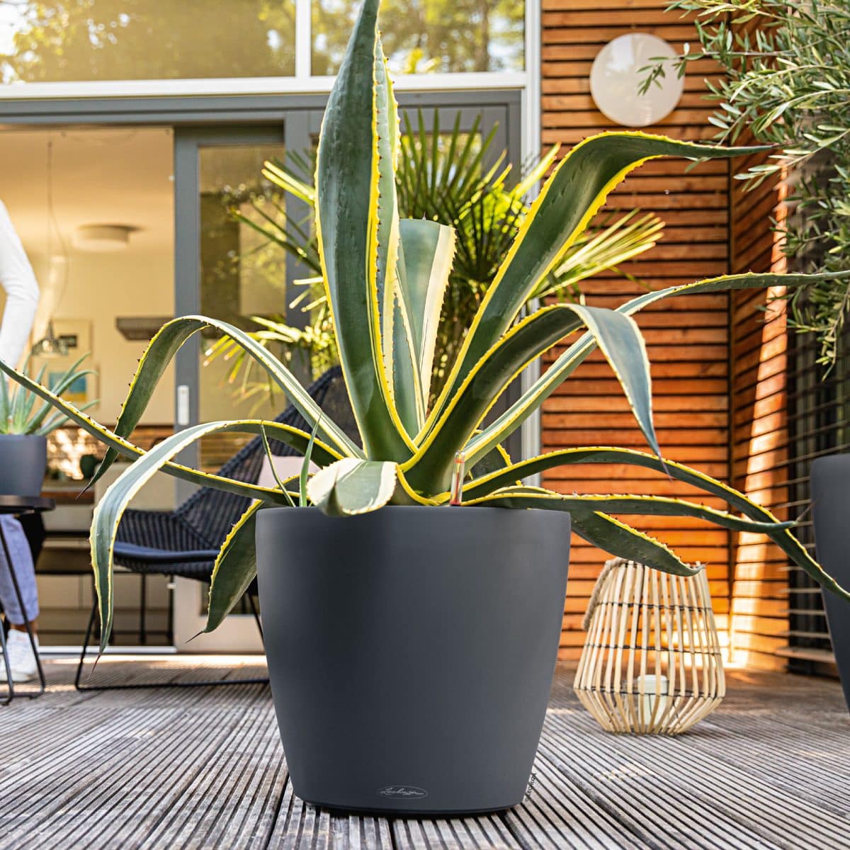 Buy CLASSICO Color 60 Slate, Self-Watering Large Round Planter