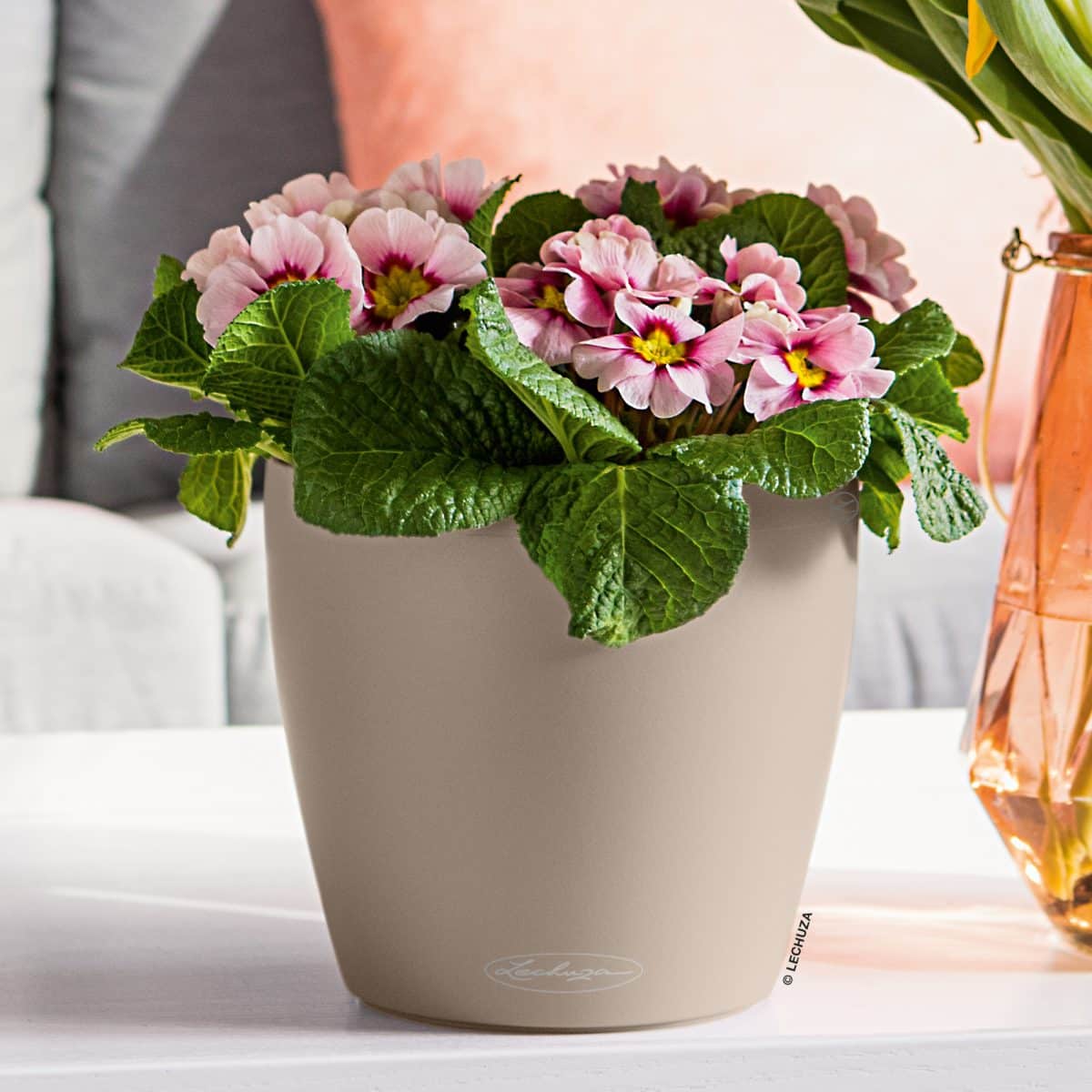 CLASSICO Color 21 Sand Brown, Self-Watering Small Round Planter, D8.3 H7.9 in