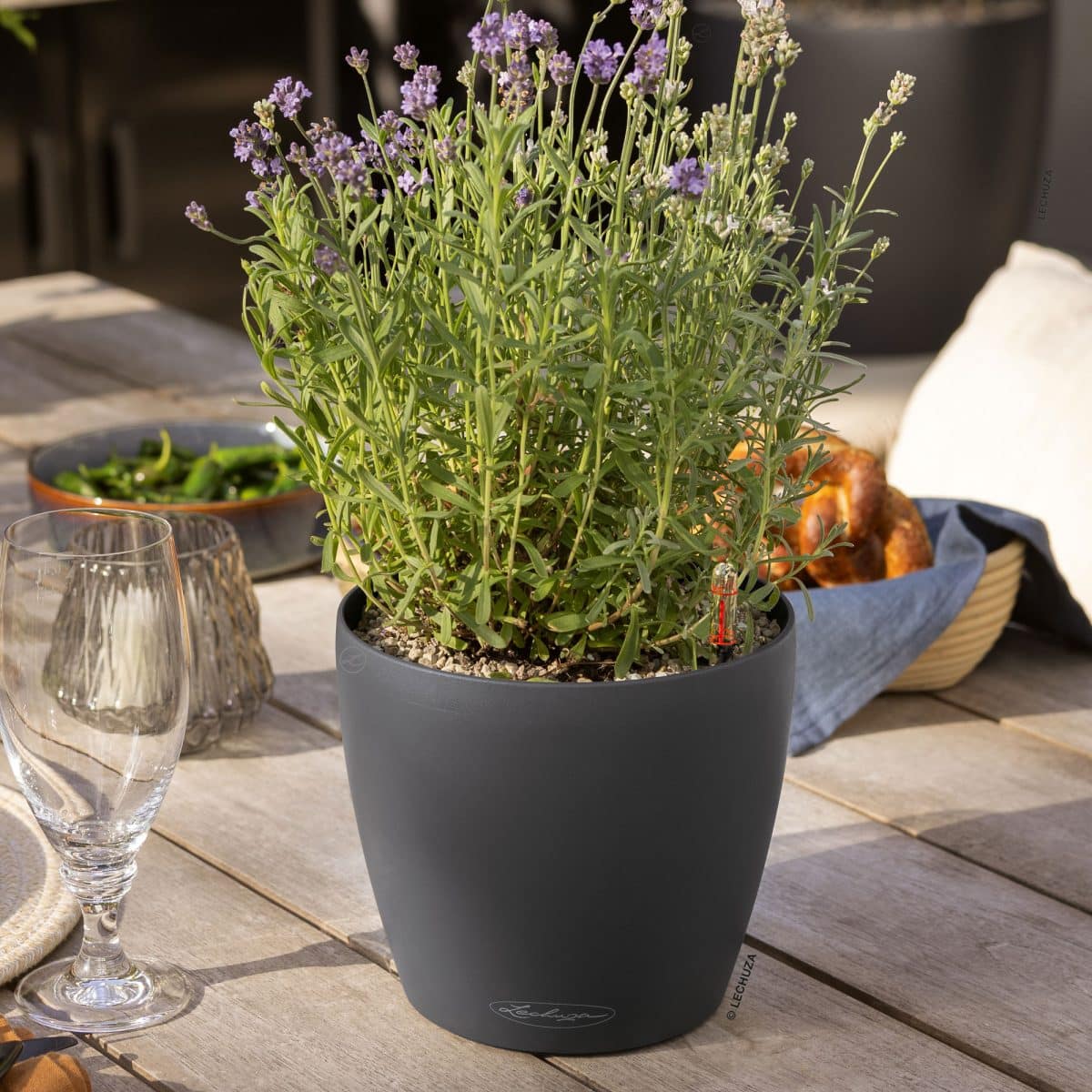 CLASSICO Color 21 Slate, Self-Watering Small Round Planter, D8.3 H7.9 in