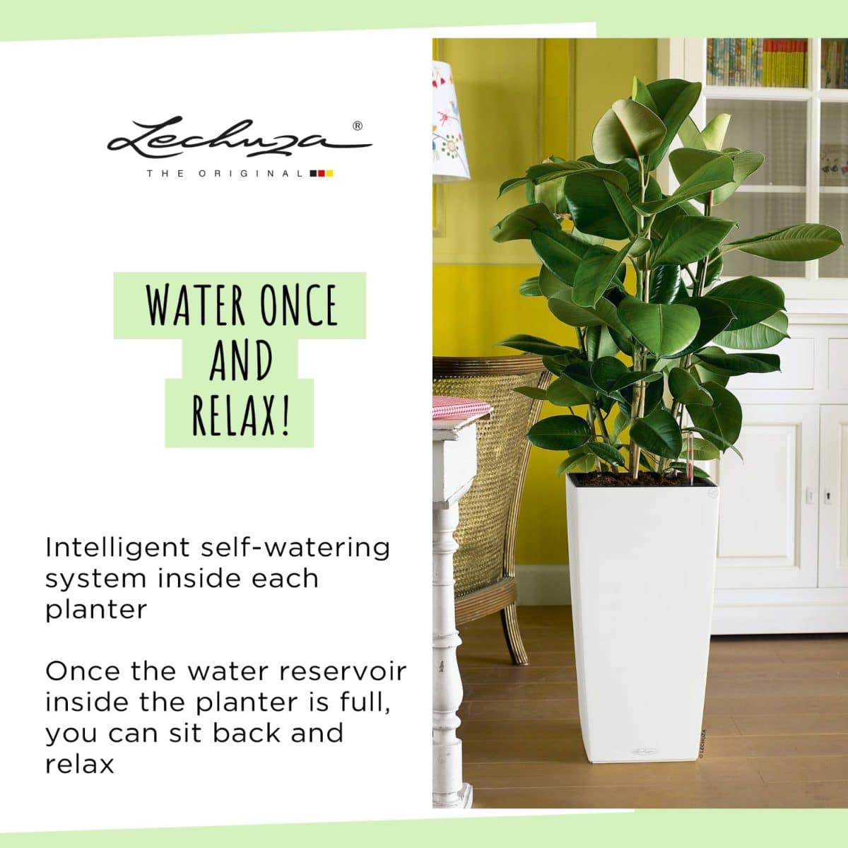 【はるplants】 Buy CUBICO Color 30 Slate, Self-Watering Tall Planter, H22 L11.8