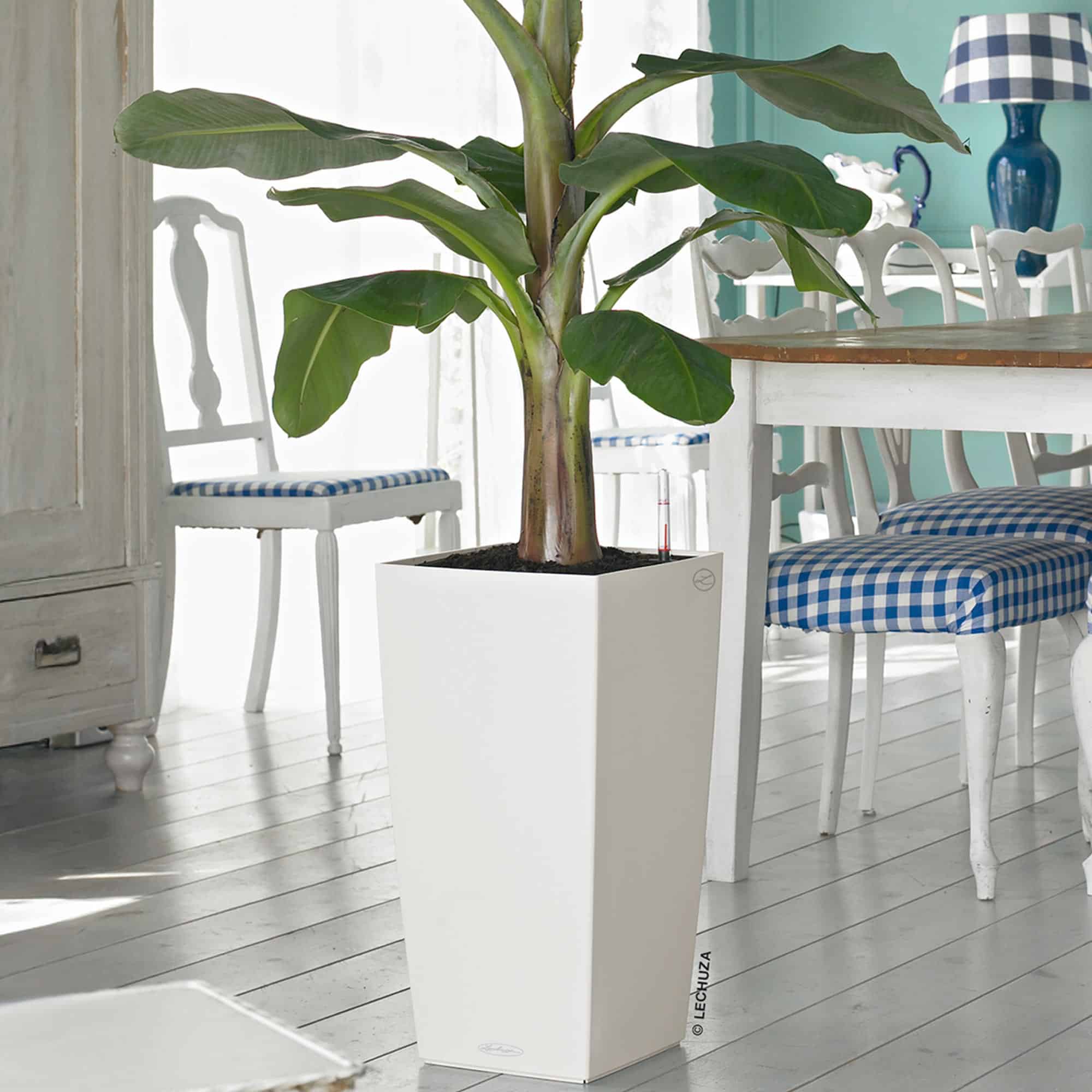 LECHUZA　レチューザ　CUBICO 30 ホワイト植木鉢 Buy CUBICO Color 30 White, Self-Watering Tall Planter, H22 L11.8