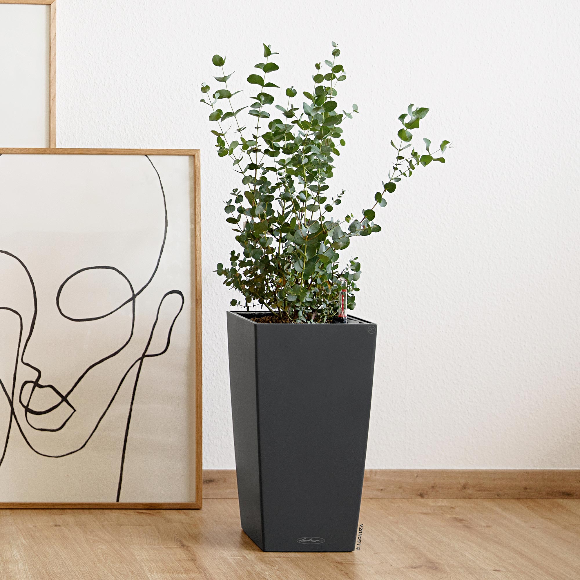 Buy CUBICO Color 30 Slate, Self-Watering Tall Planter, H22 L11.8