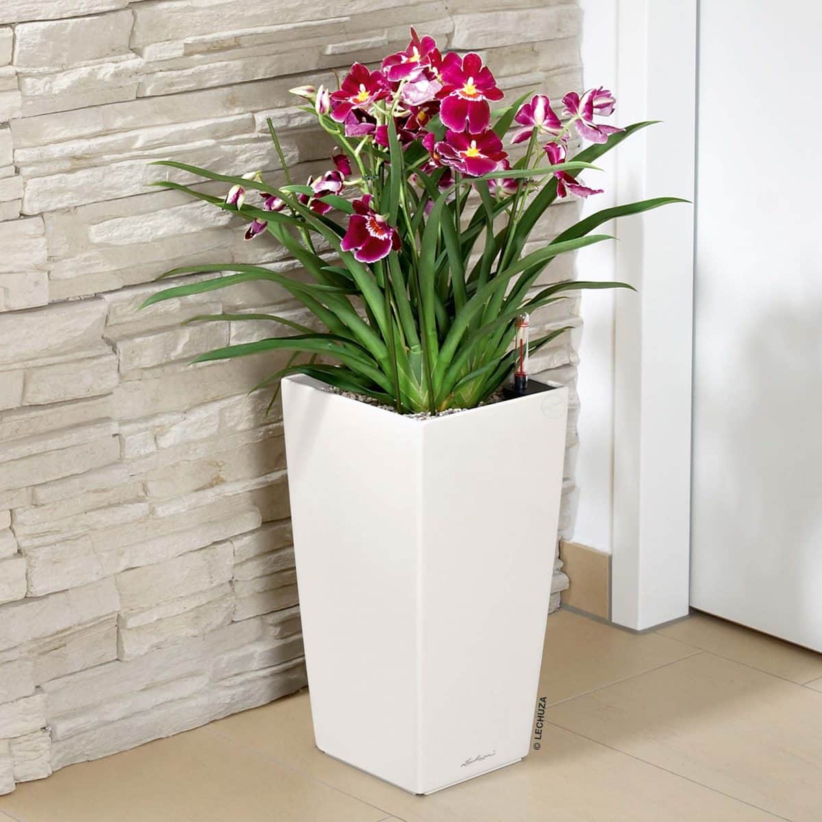CUBICO 22 Cream White High Gloss, Self-Watering Tall Planter, H16.1 L8.7 W8.7 in