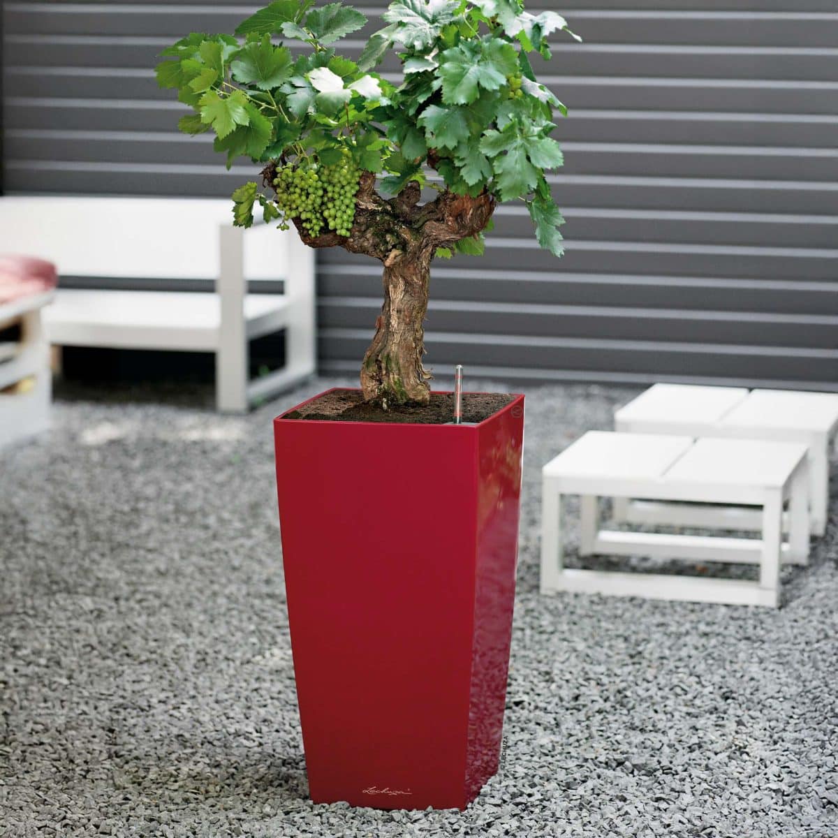 CUBICO 30 Scarlet Red High Gloss, Self-Watering Tall Planter, H22 L11.8 W11.8 in