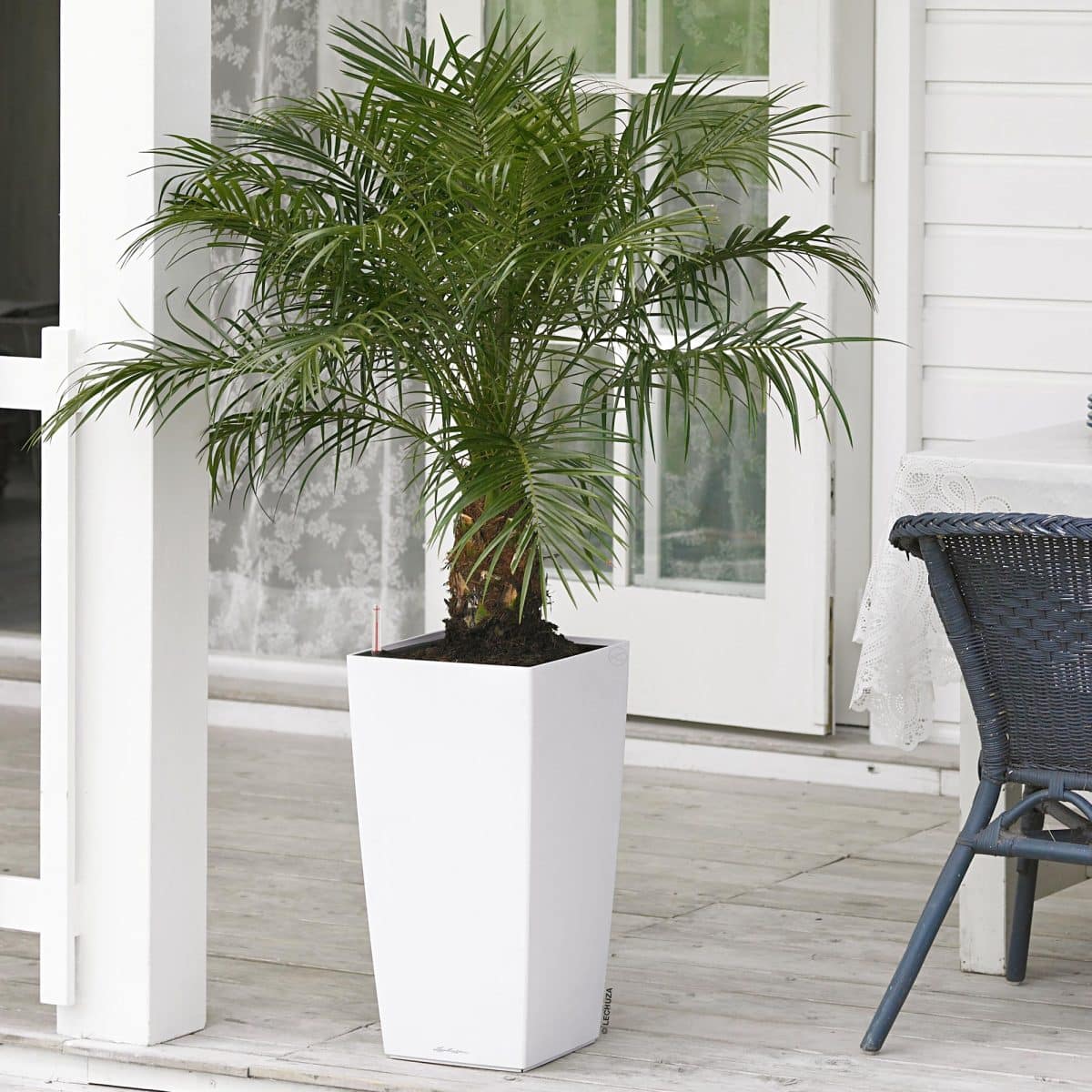CUBICO 40 Cream White High Gloss, Self-Watering Tall Planter, H29.5 L15.7 W15.7 in