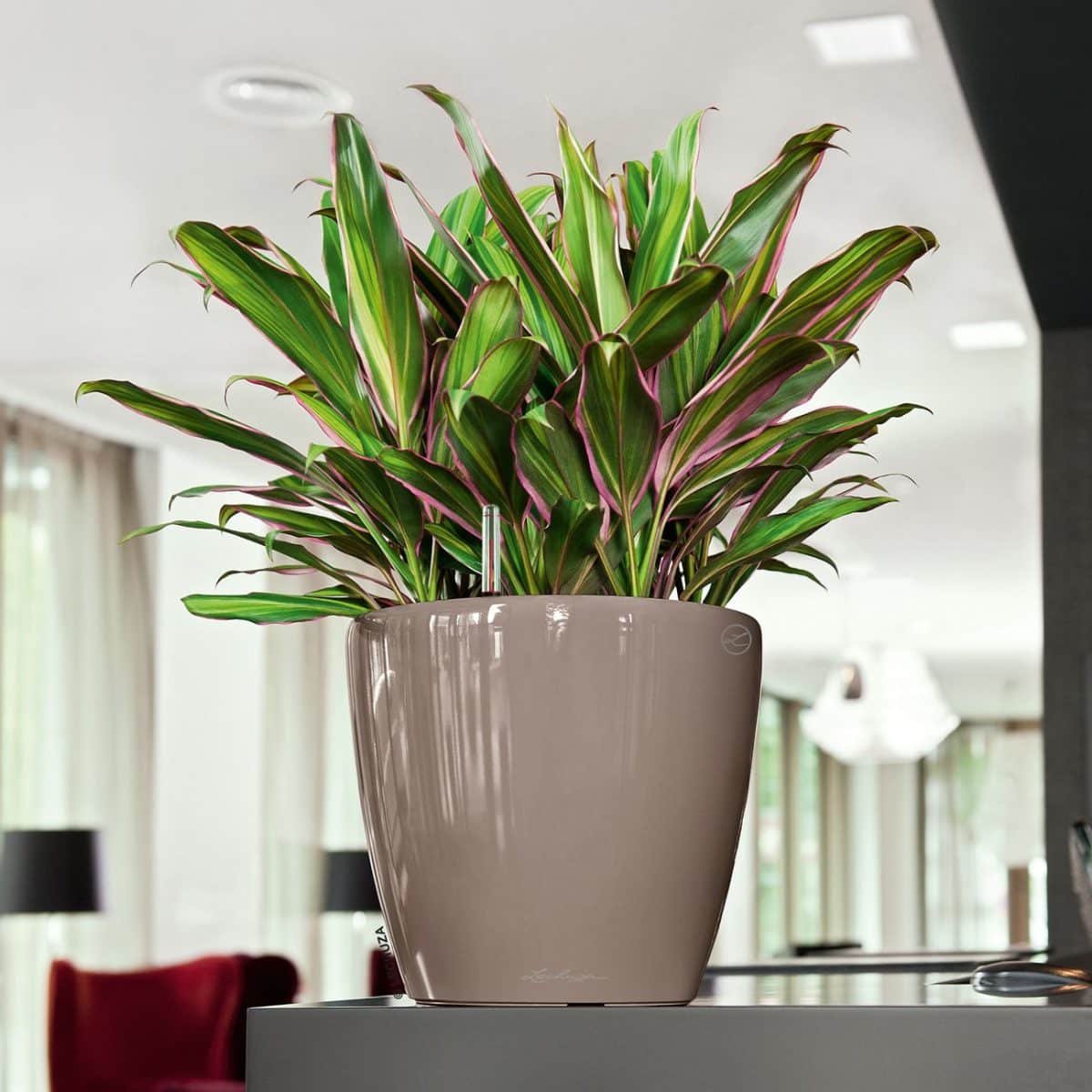 CLASSICO LS 21 Shiny Taupe High Gloss, Self-Watering Round Planter, D8.3 H7.9 in - Image 11