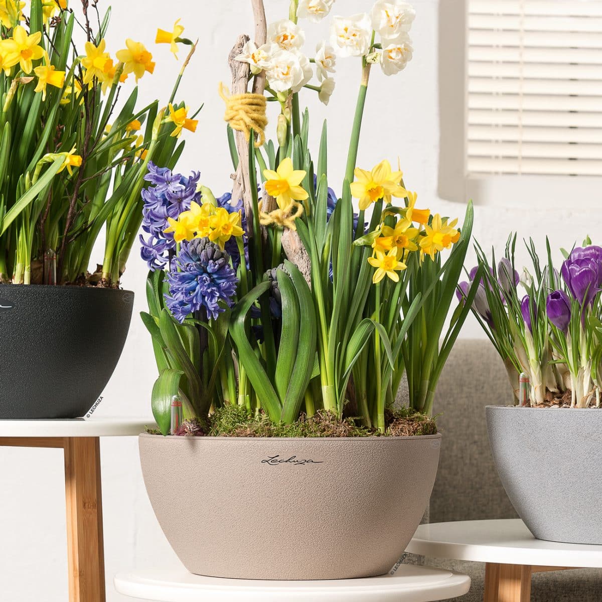 CUBETO Stone 30 Sand Beige, Self-Watering Bowl Planter, D11.8 H5.1 in - Image 2