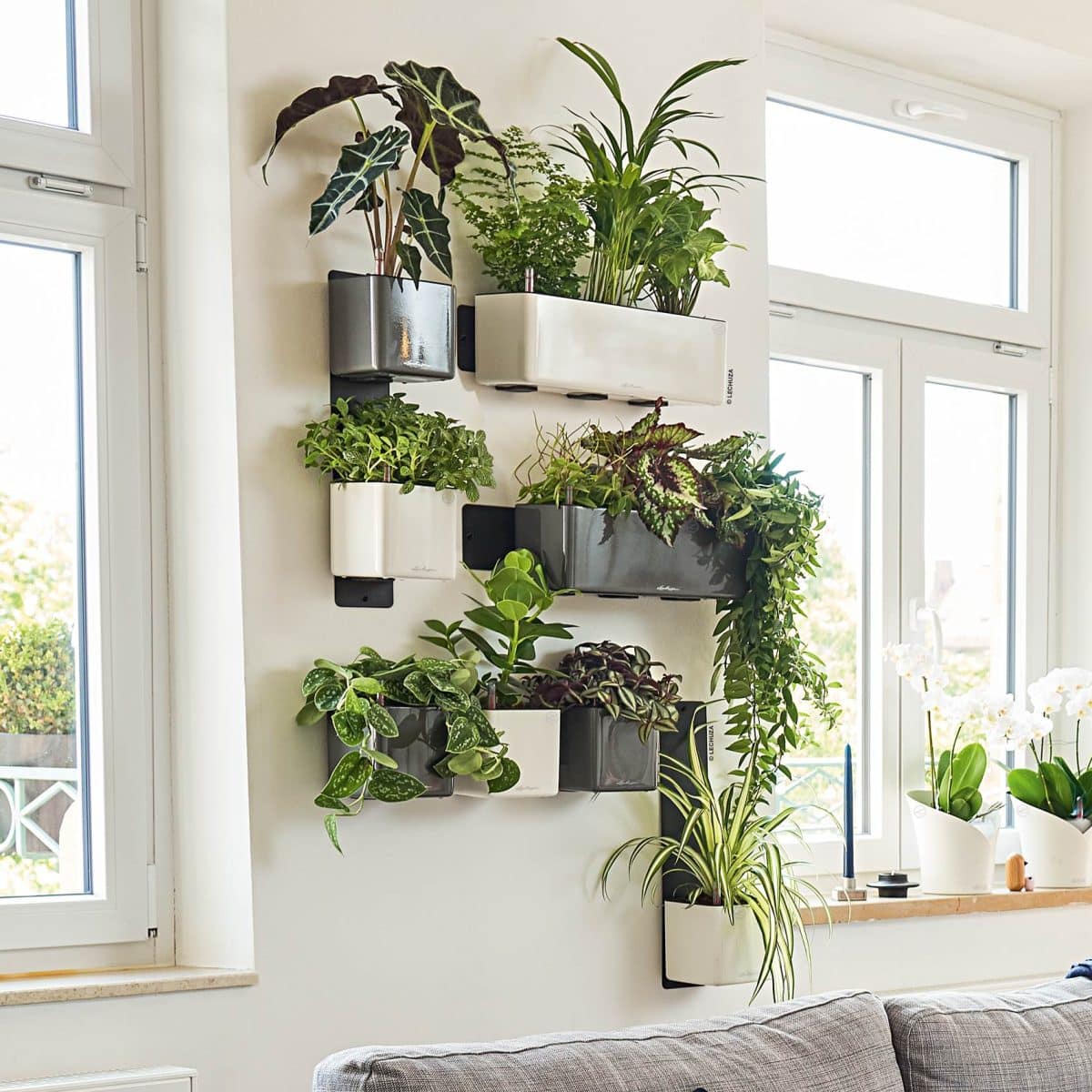 Green Wall Home Kit Premium Cream White High Gloss, 3 Self-Watering Hanging Planters on Metal Bar, H5.5 L18.9 W5.9 in - Image 7