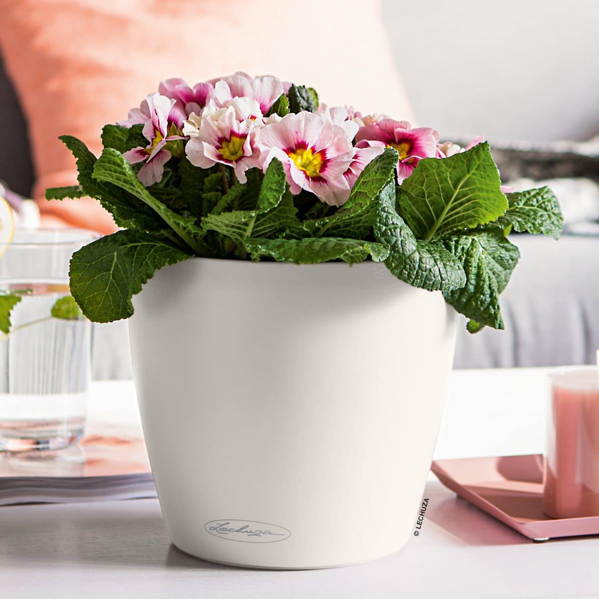 CLASSICO Color 21 White, Self-Watering Small Round Planter, D8.3 H7.9 in